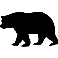 (image for) Bear 12 _