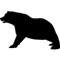 (image for) Bear 15 _