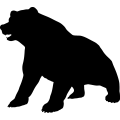 (image for) Bear 16 _