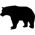 (image for) Bear 17 _