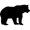 (image for) Bear 18 =