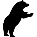 (image for) Bear 19 _