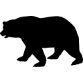 (image for) Bear 21 _