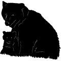 (image for) Bear Pair =