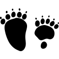 (image for) Bear Track 1 -