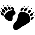 (image for) Bear Track 2 -