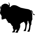 (image for) Bison 3a _