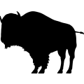 (image for) Bison 4 _