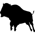 (image for) Bison 5 _