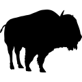 (image for) Bison 6 _
