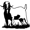 (image for) Boer Goat 3 =
