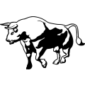 (image for) Bull 12 =