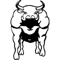 (image for) Bull 7 =
