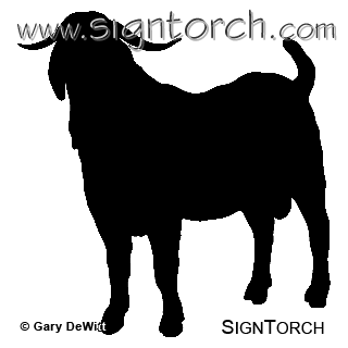 (image for) Boer Goat 1a _