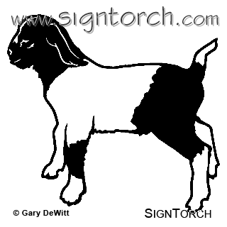 (image for) Boer Goat 8 =