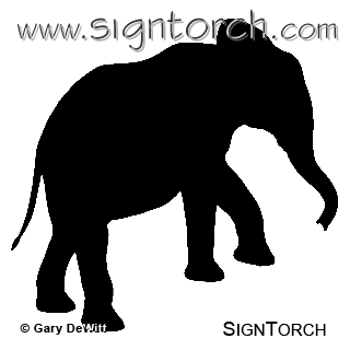 (image for) Elephant Baby 11 _