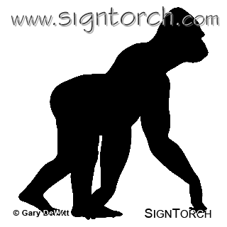 (image for) Gorilla 2 =