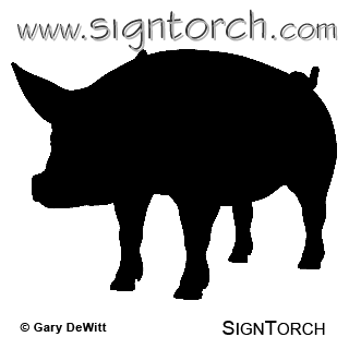 (image for) Pig 10a _