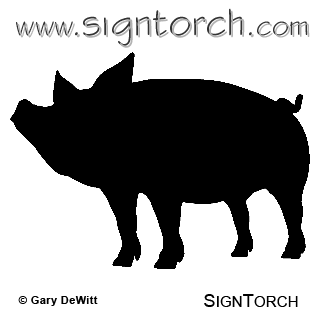 (image for) Pig 13a _