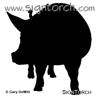 (image for) Pig 6a _