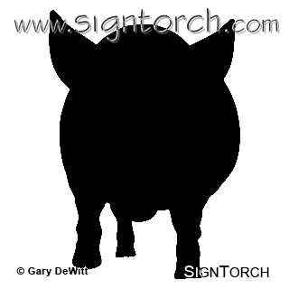 (image for) Pig 8a _