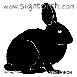 (image for) Rabbit 1 =