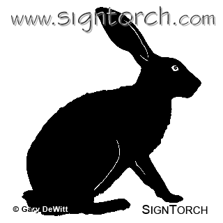 (image for) Rabbit 3 =