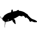 (image for) Catfish 2 =