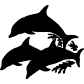 (image for) Dolphin 11 -