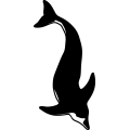 (image for) Dolphin 7 =