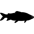(image for) Fish 116 =