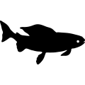 (image for) Fish 117 =