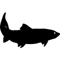 (image for) Fish 118 =