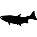 (image for) Fish 45 =