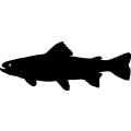 (image for) Fish 47 =