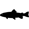 (image for) Fish 52 =