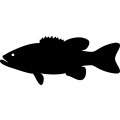 (image for) Fish 58 =