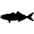 (image for) Fish 69 =