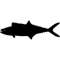 (image for) Fish 71 =