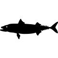 (image for) Fish 74a =