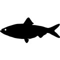 (image for) Fish 84 =