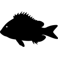 (image for) Fish 87 =