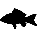 (image for) Fish 92 =