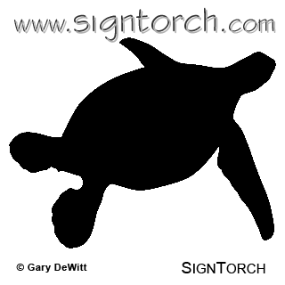 (image for) Green Sea Turtle 1 _