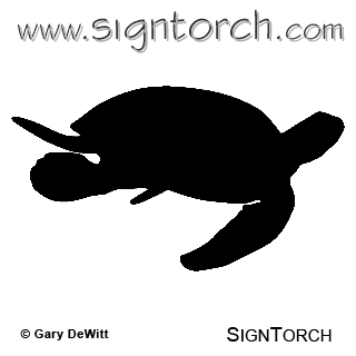 (image for) Green Sea Turtle 2 _