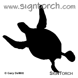 (image for) Green Sea Turtle 4 _