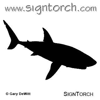 (image for) Shark 5 _