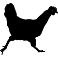 (image for) Chicken 2 =