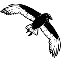 (image for) Crow 12 =