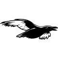 (image for) Crow 1 =